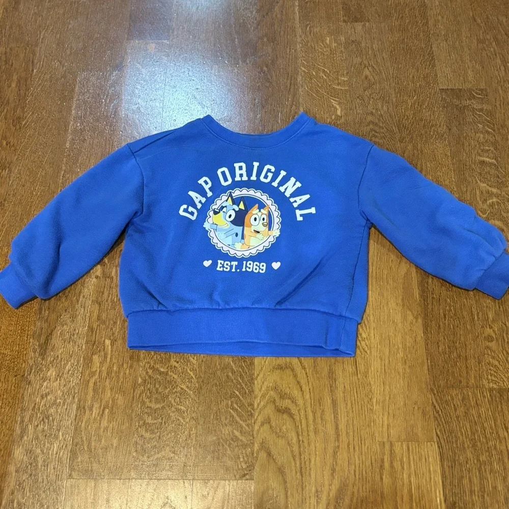 Baby GAP Bluey Sweatshirt – Size 3T